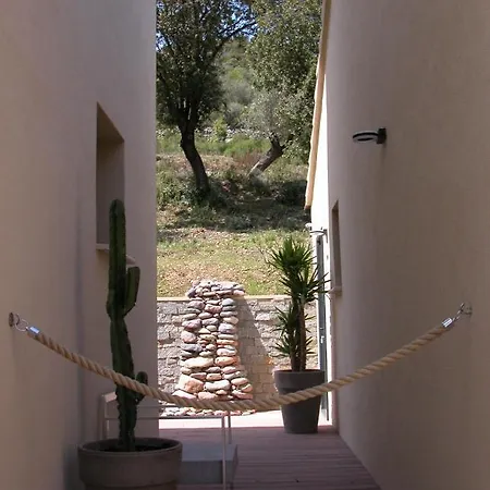 Bed & Breakfast L'oliveraie Du Fango Manso