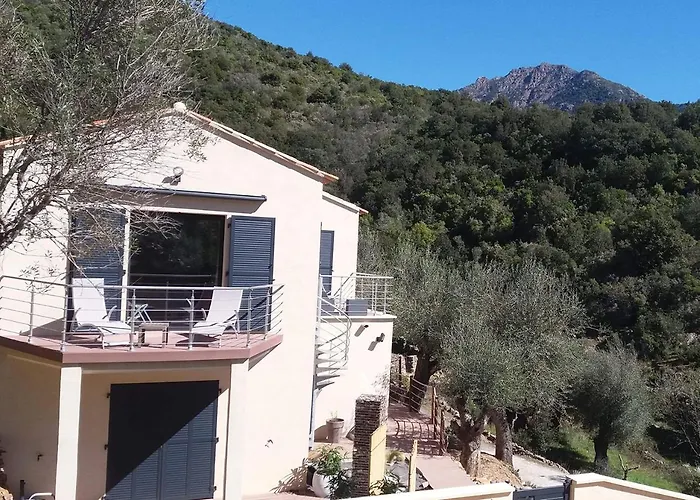 L'oliveraie Du Fango 4* Manso