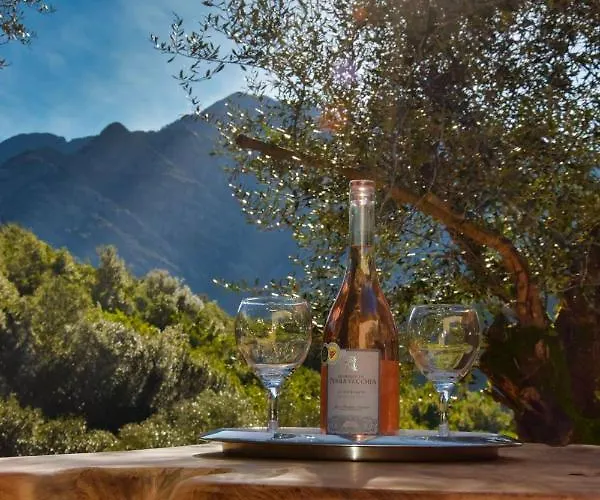 L'oliveraie Du Fango