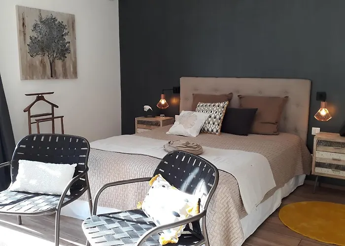 L'oliveraie Du Fango Couette-café Manso