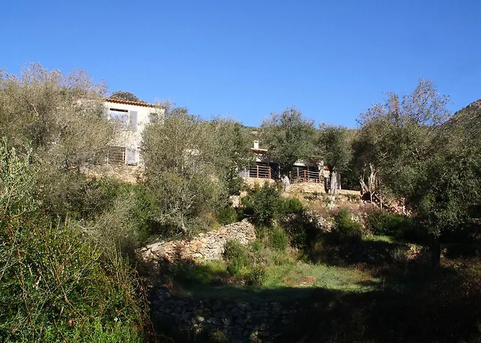 L'oliveraie Du Fango Couette-café 4*