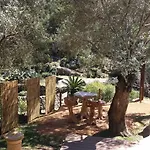 לינה וארוחת בוקר L'oliveraie Du Fango Manso