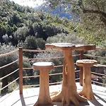 L'oliveraie Du Fango 4* Manso