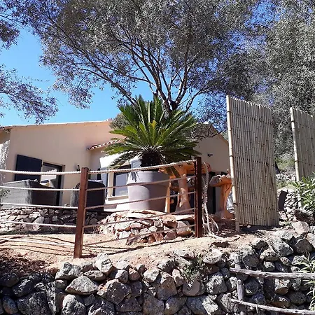 Bed & Breakfast L'oliveraie Du Fango *