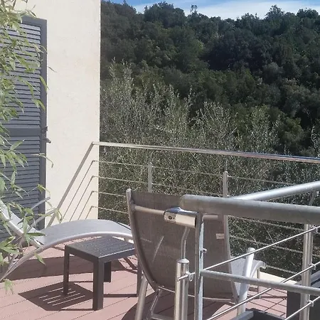 L'oliveraie Du Fango