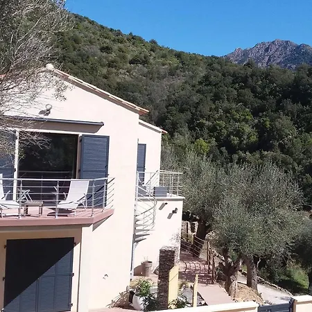 L'oliveraie Du Fango 4* Manso