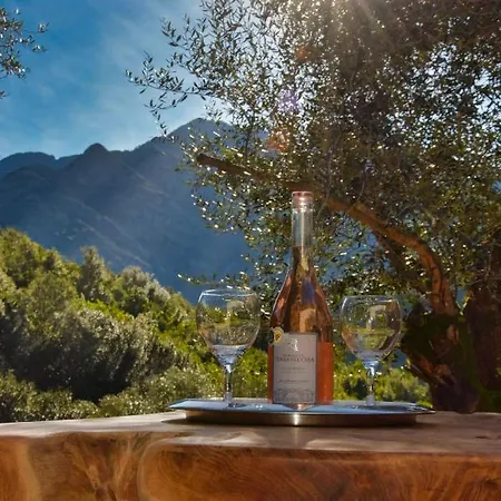 L'oliveraie Du Fango