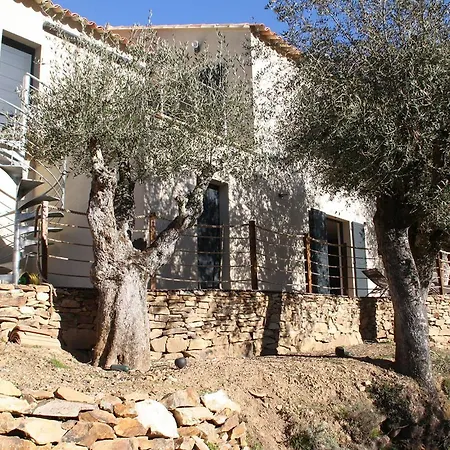 L'oliveraie Du Fango לינה וארוחת בוקר Manso