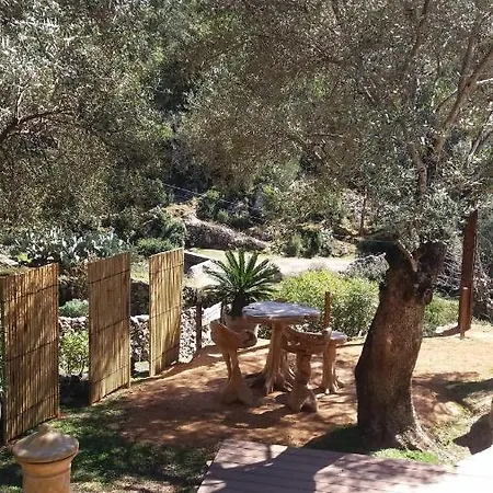 Bed & Breakfast L'oliveraie Du Fango Manso