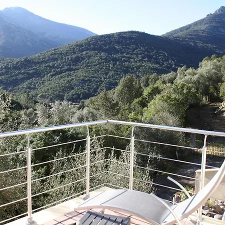 Bed & Breakfast L'oliveraie Du Fango