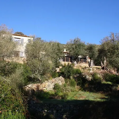 L'oliveraie Du Fango Bed & Breakfast *