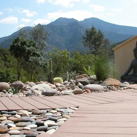 L'oliveraie Du Fango Bed & Breakfast 4*