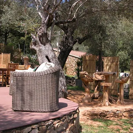 L'oliveraie Du Fango Bed & Breakfast