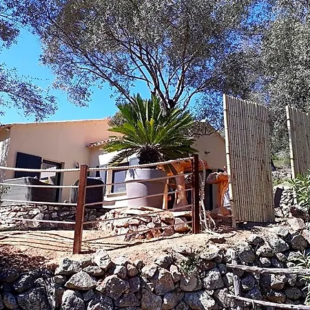 Bed & Breakfast L'oliveraie Du Fango 4*