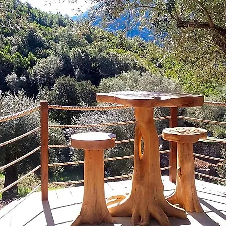 Bed & Breakfast L'oliveraie Du Fango