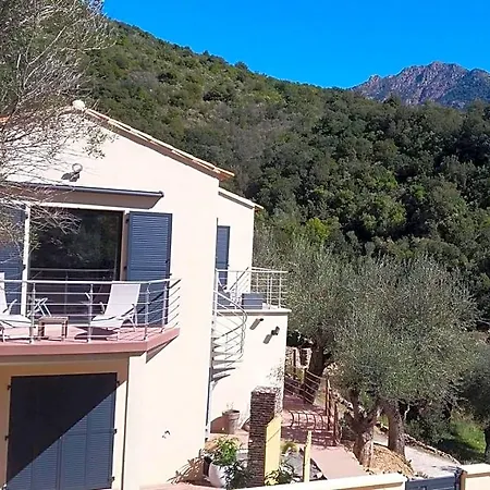 Bed & Breakfast L'oliveraie Du Fango Manso