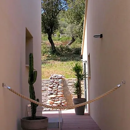 Bed & Breakfast L'oliveraie Du Fango Manso