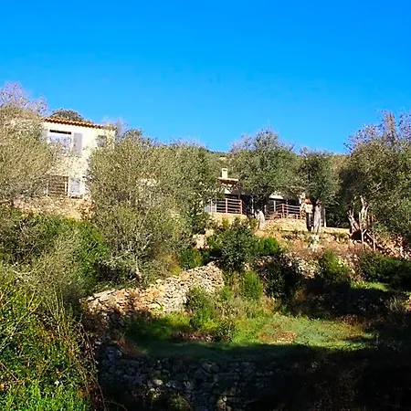L'oliveraie Du Fango 4*