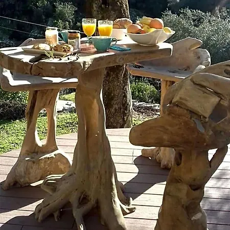 Bed & Breakfast L'oliveraie Du Fango