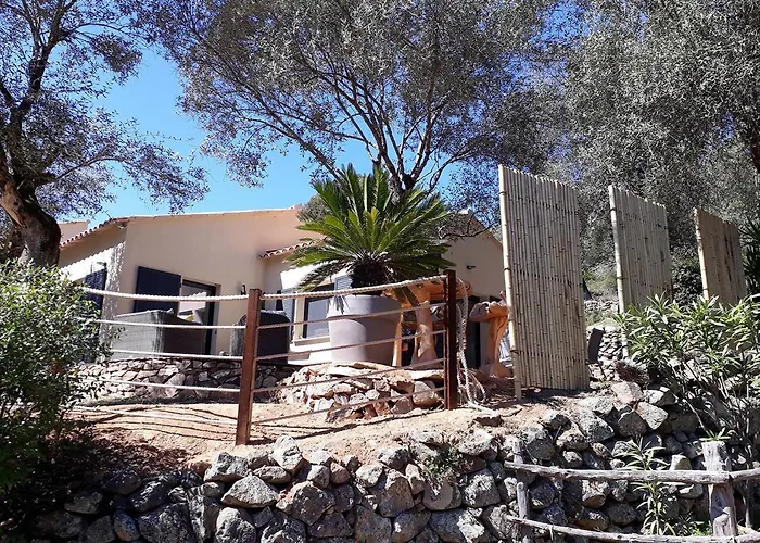 Bed & Breakfast L'oliveraie Du Fango 4*