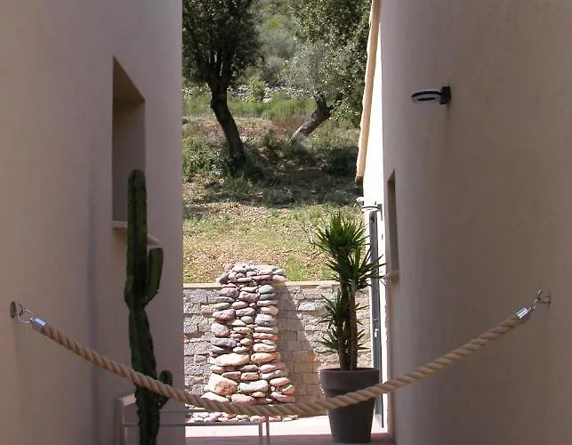 Bed & Breakfast L'oliveraie Du Fango Manso