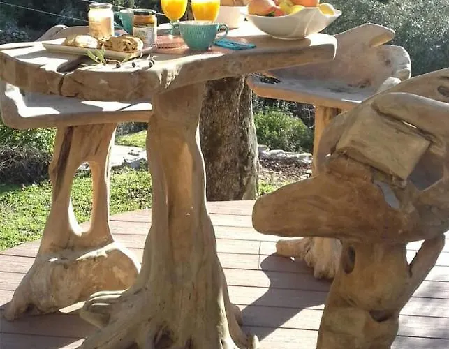 L'oliveraie Du Fango Manso