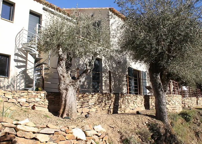 L'oliveraie Du Fango Bed & Breakfast Manso