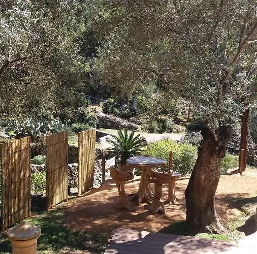 Bed & Breakfast L'oliveraie Du Fango Manso