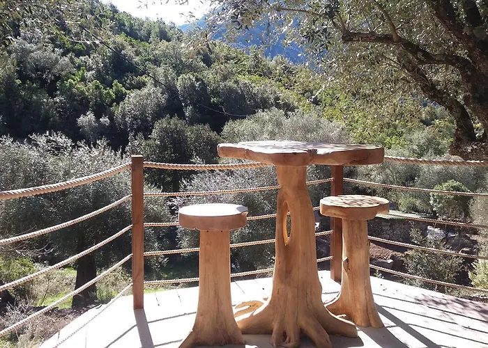 L'oliveraie Du Fango 4* Manso