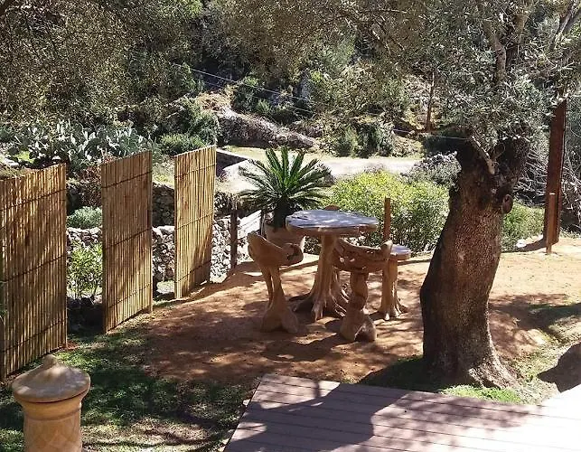 L'oliveraie Du Fango Bed & Breakfast