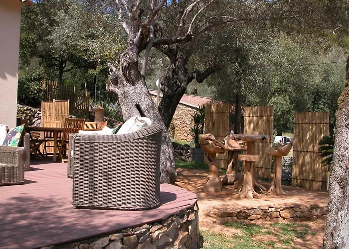 L'oliveraie Du Fango Bed & Breakfast