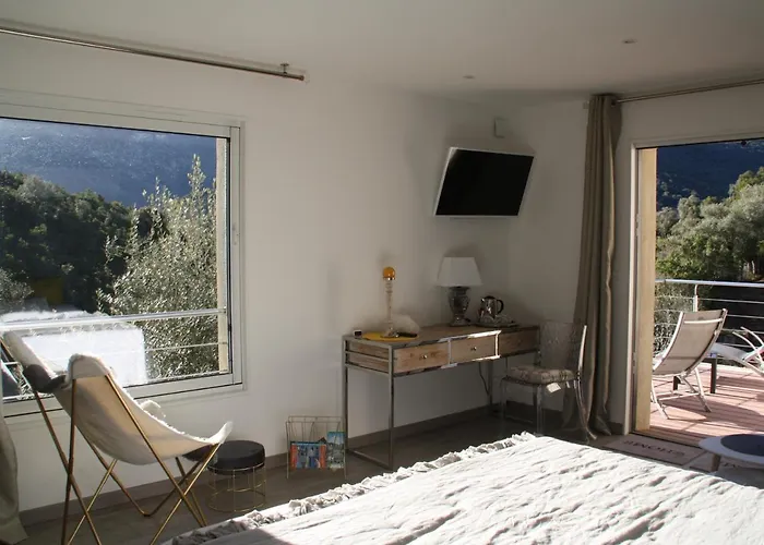 Bed & Breakfast L'oliveraie Du Fango Manso